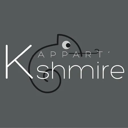 L'Appart K-Shmire- Cosy Et Spacieux, 4 Pers Le Mans Exterior photo